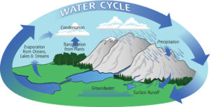 What Is The Water Cycle