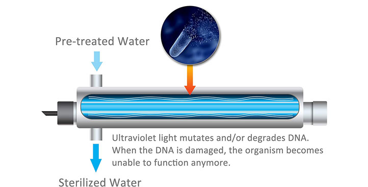 ultraviolet water purifier reviews