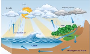 definition of water cycle